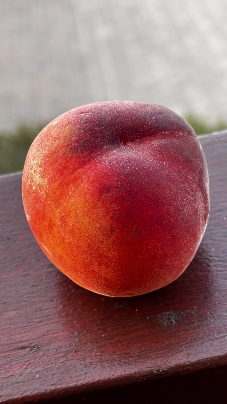 Sun-Ripened Peach - Image 3