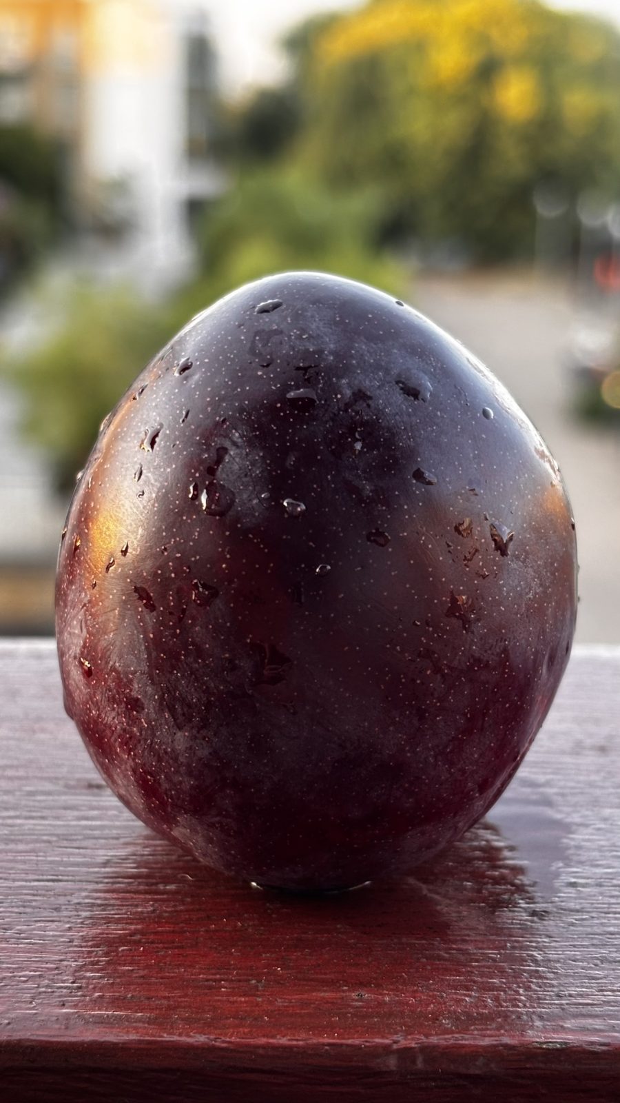 Midnight Plum - Image 3